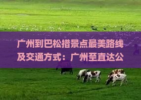 广州到巴松措景点最美路线及交通方式：广州至直达公里数与乘车选择