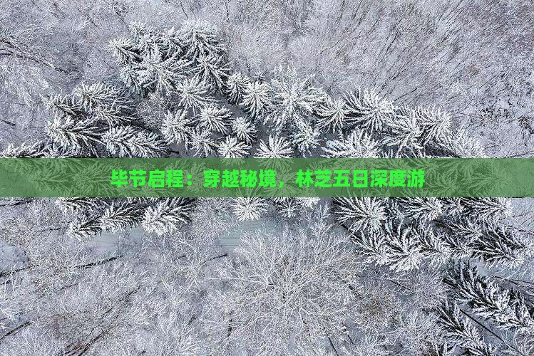 毕节启程：穿越秘境，林芝五日深度游