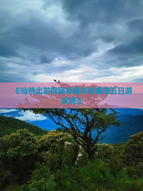 《仙桃出发探秘卓雍羊卓雍措五日游攻略》
