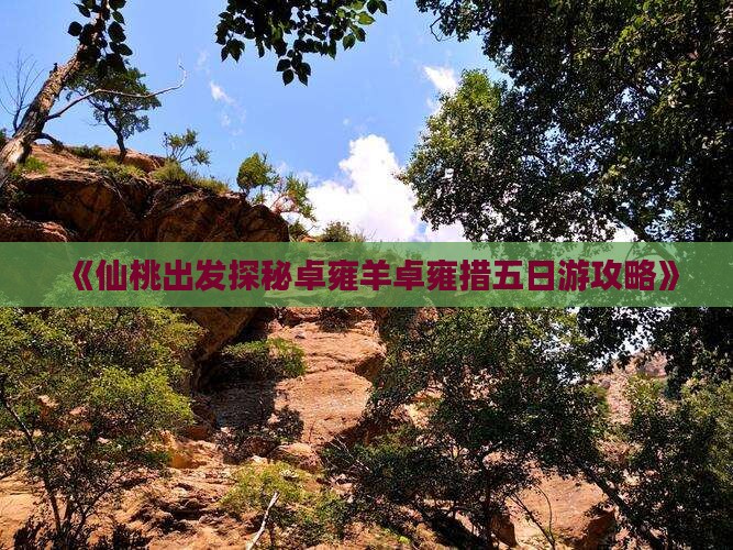 《仙桃出发探秘卓雍羊卓雍措五日游攻略》