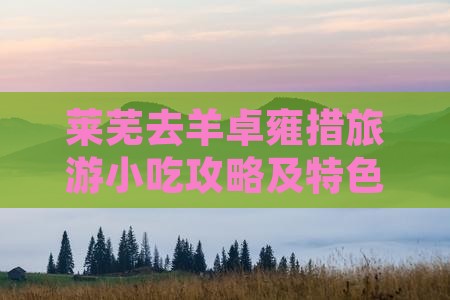 莱芜去羊卓雍措旅游小吃攻略及特色美食推荐