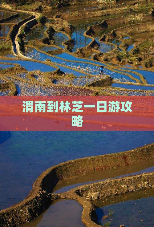 渭南到林芝一日游攻略