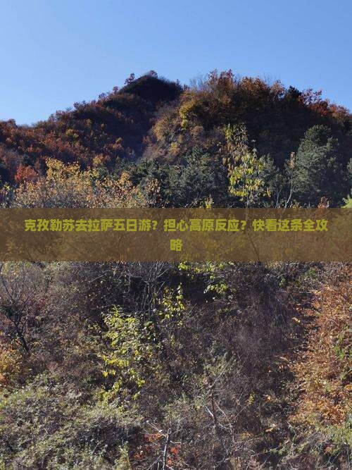 克孜勒苏去拉萨五日游？担心高原反应？快看这条全攻略