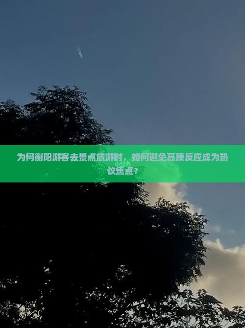 为何衡阳游客去景点旅游时，如何避免高原反应成为热议焦点？