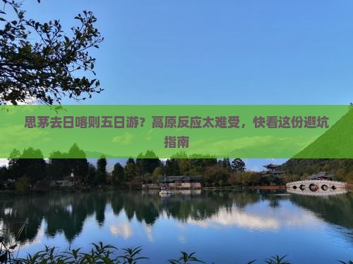 思茅去日喀则五日游？高原反应太难受，快看这份避坑指南