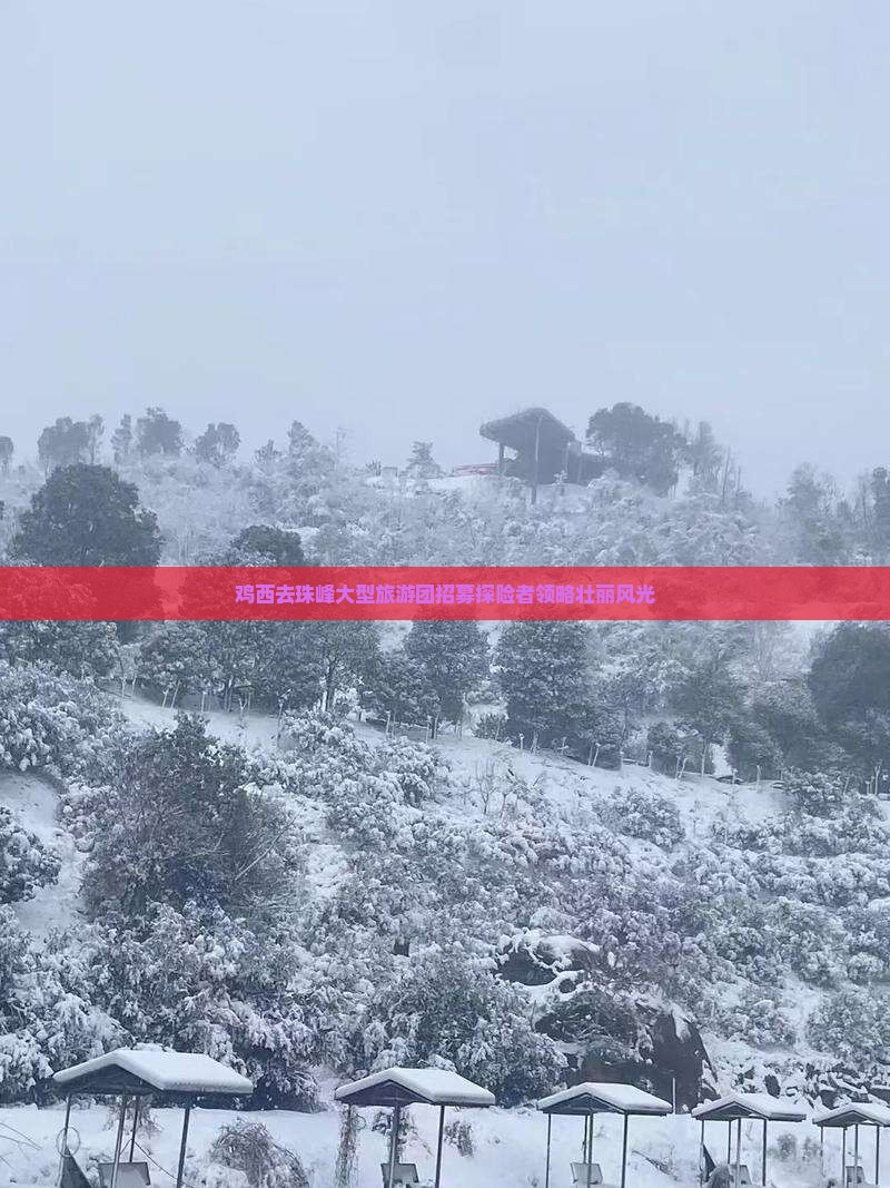 鸡西去珠峰大型旅游团招募探险者领略壮丽风光