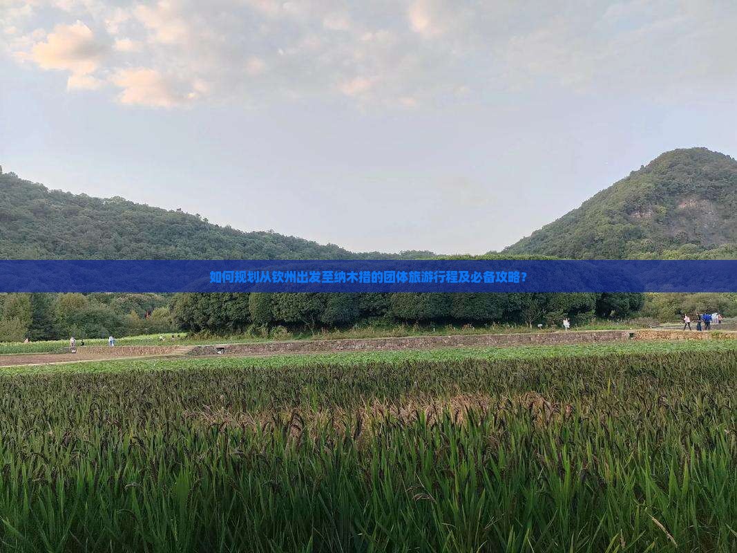 如何规划从钦州出发至纳木措的团体旅游行程及必备攻略？
