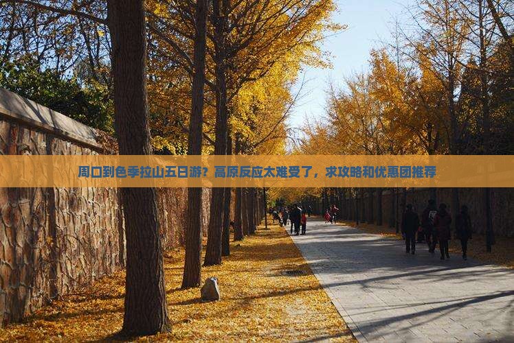 周口到色季拉山五日游？高原反应太难受了，求攻略和优惠团推荐