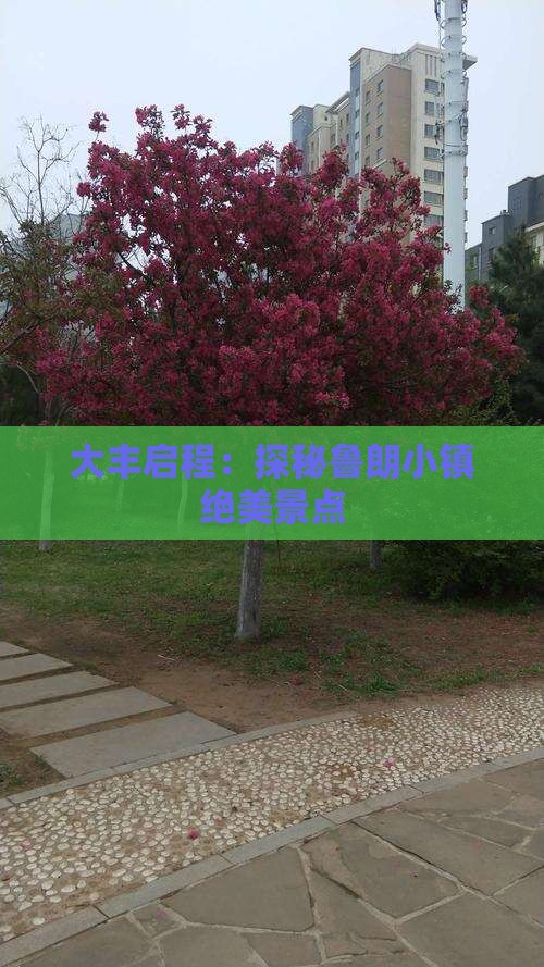 大丰启程：探秘鲁朗小镇绝美景点