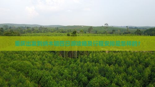 重庆出发到纳木错四日游攻略及行程安排是怎样的？