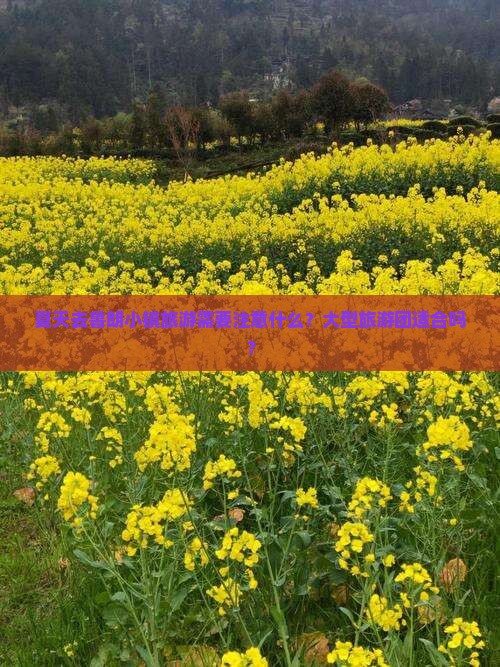 夏天去鲁朗小镇旅游需要注意什么？大型旅游团适合吗？