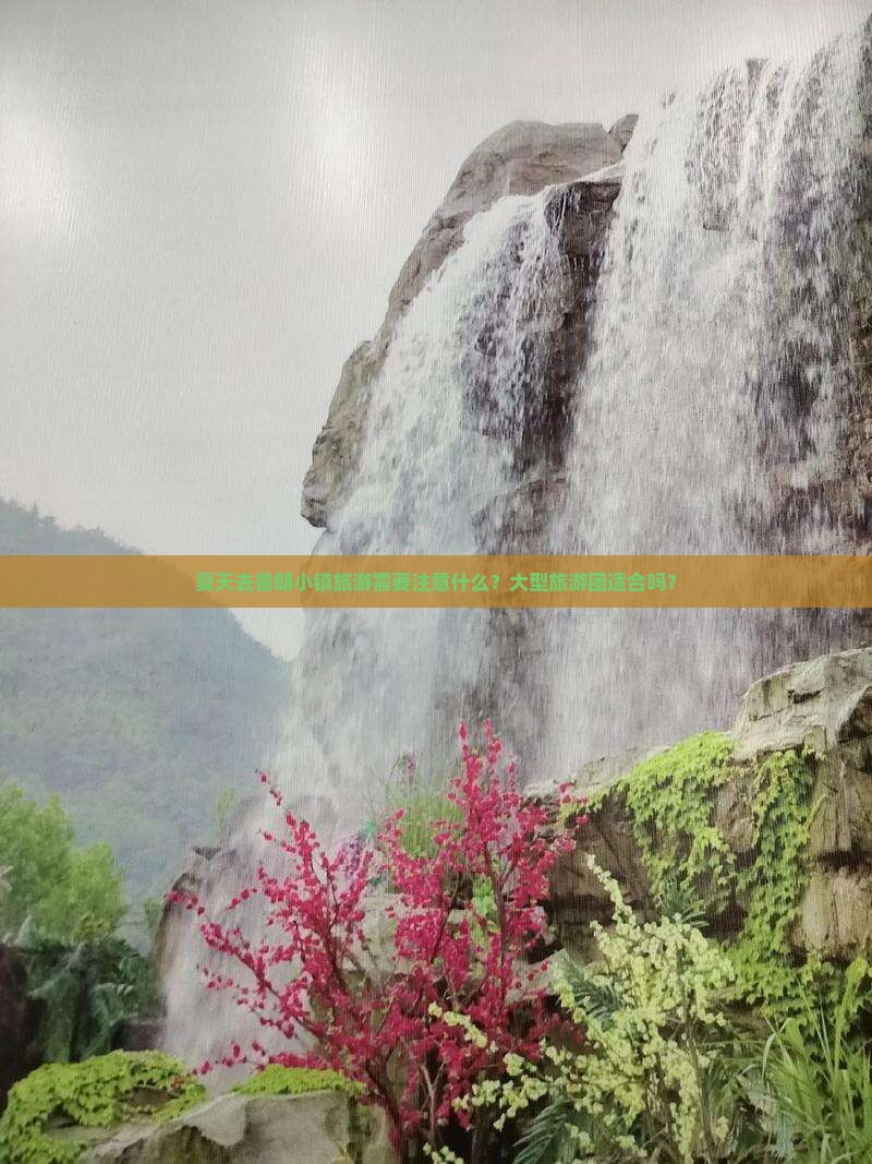 夏天去鲁朗小镇旅游需要注意什么？大型旅游团适合吗？