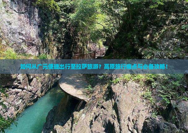 如何从广元便捷出行至拉萨旅游？高原旅行痛点与必备攻略！