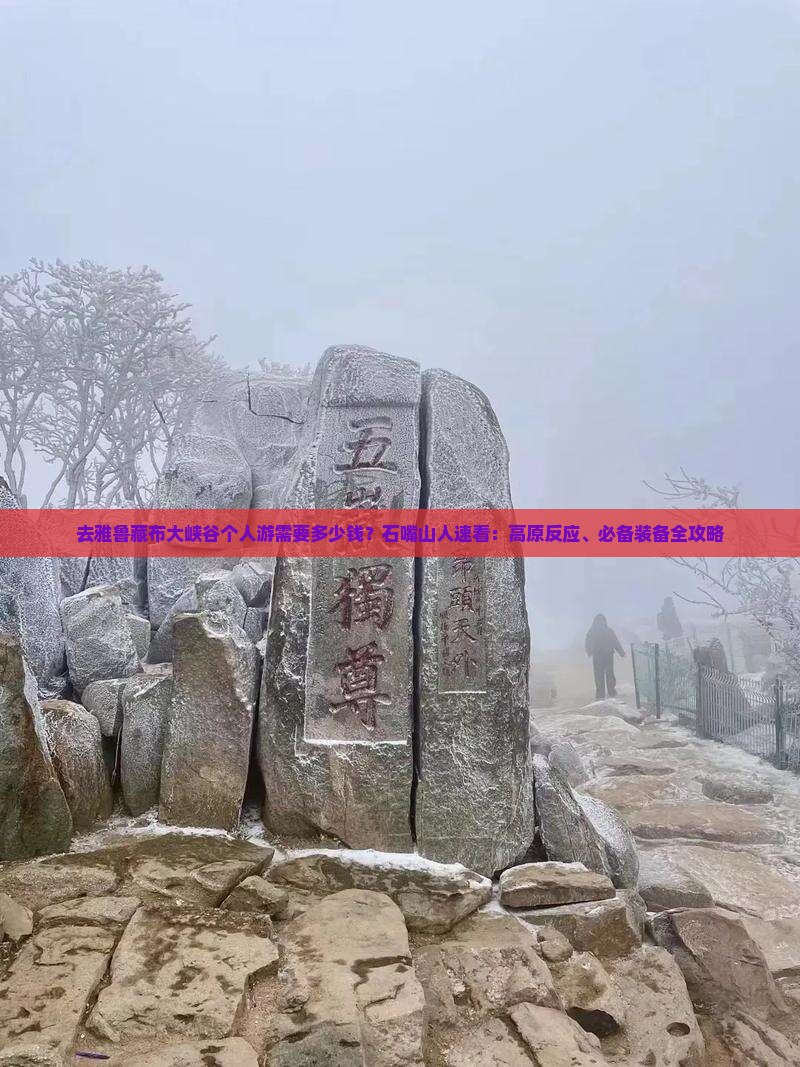 去雅鲁藏布大峡谷个人游需要多少钱？石嘴山人速看：高原反应、必备装备全攻略