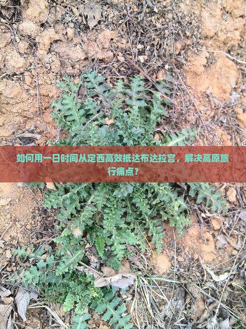 如何用一日时间从定西高效抵达布达拉宫，解决高原旅行痛点？