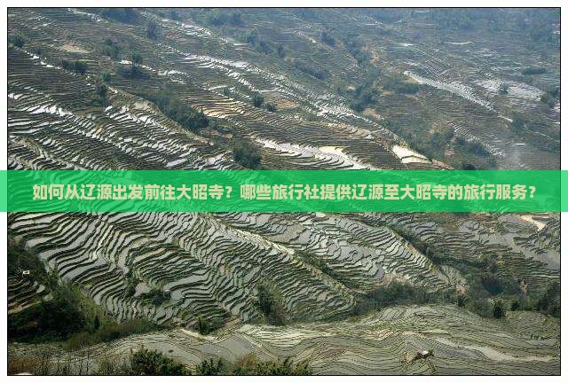 如何从辽源出发前往大昭寺？哪些旅行社提供辽源至大昭寺的旅行服务？