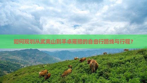 如何规划从武夷山到羊卓雍措的自由行路线与行程？