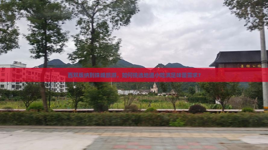 西双版纳到珠峰旅游，如何挑选地道小吃满足味蕾需求？