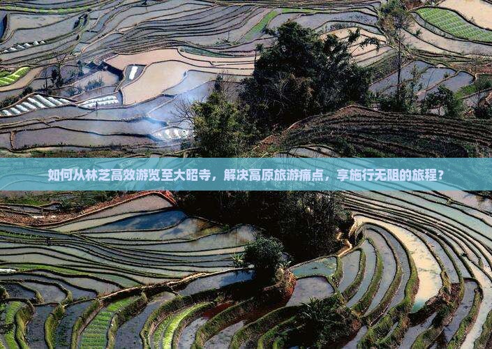 如何从林芝高效游览至大昭寺，解决高原旅游痛点，享施行无阻的旅程？