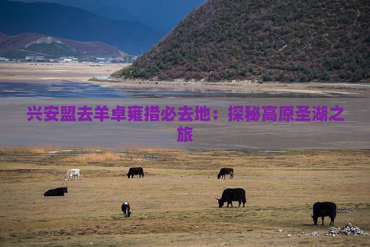 兴安盟去羊卓雍措必去地：探秘高原圣湖之旅