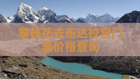 攀枝花去布达拉宫门票价格查询