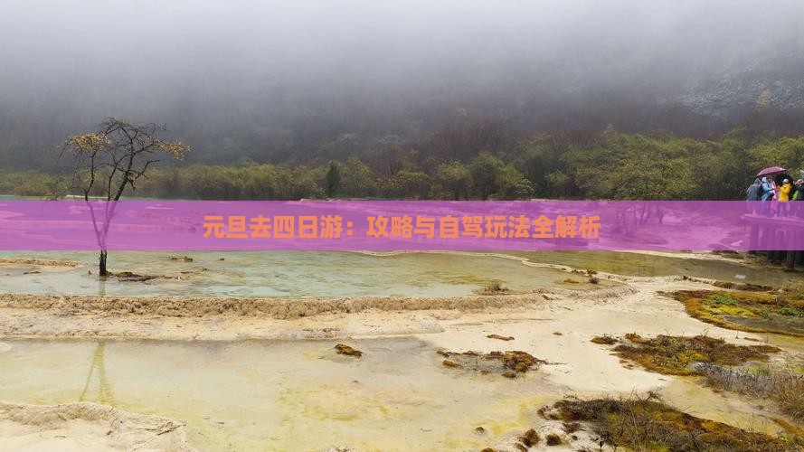 元旦去四日游：攻略与自驾玩法全解析