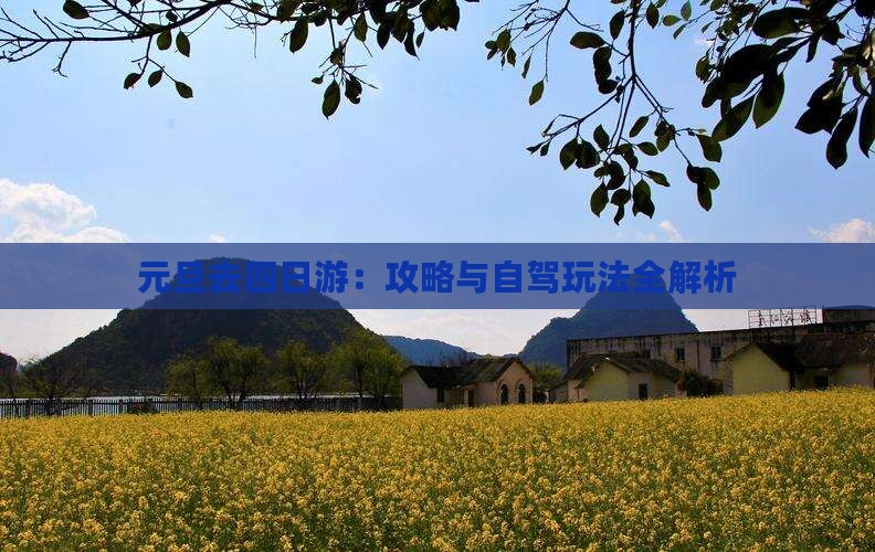 元旦去四日游：攻略与自驾玩法全解析