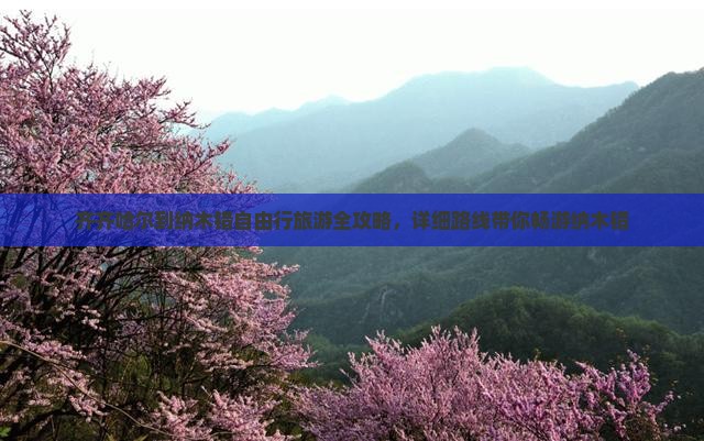 齐齐哈尔到纳木错自由行旅游全攻略,详细路线带你畅游纳木错 齐齐哈尔到纳木错自由行旅游全攻略,详细路线带你畅游纳木错