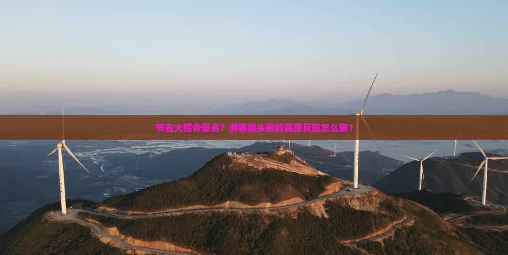 节去大昭寺景点？游客最头疼的高原反应怎么破？
