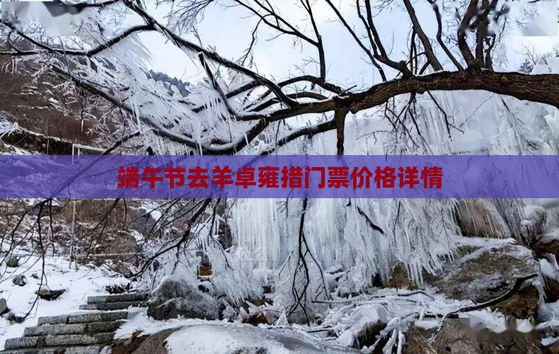 端午节去羊卓雍措门票价格详情