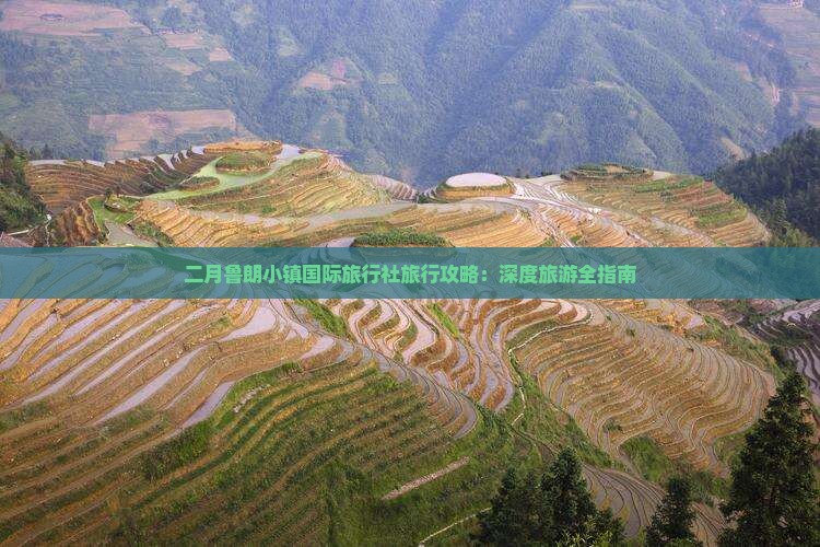二月鲁朗小镇国际旅行社旅行攻略：深度旅游全指南