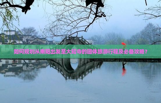 如何规划从南阳出发至大昭寺的团体旅游行程及必备攻略？