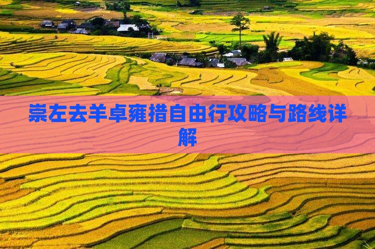 崇左去羊卓雍措自由行攻略与路线详解