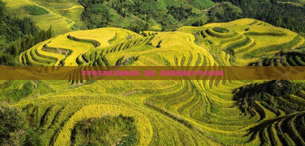 齐齐哈尔去林芝团体旅游：路线、费用及便捷出行方式全攻略