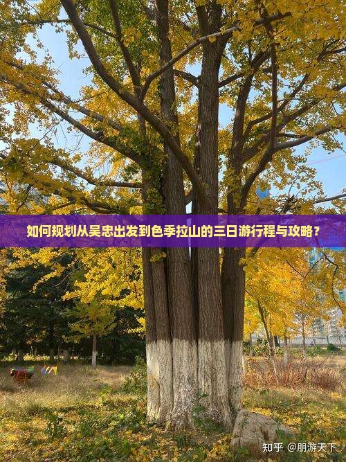 如何规划从吴忠出发到色季拉山的三日游行程与攻略？