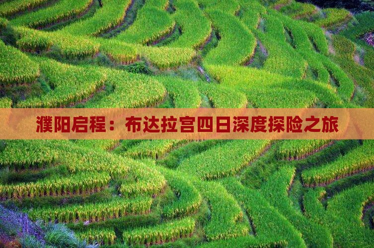 濮阳启程：布达拉宫四日深度探险之旅