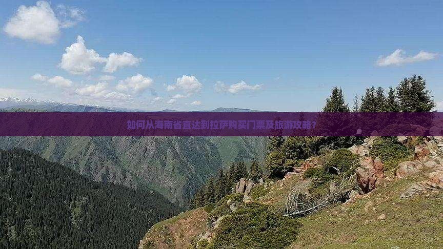 如何从海南省直达到拉萨购买门票及旅游攻略？