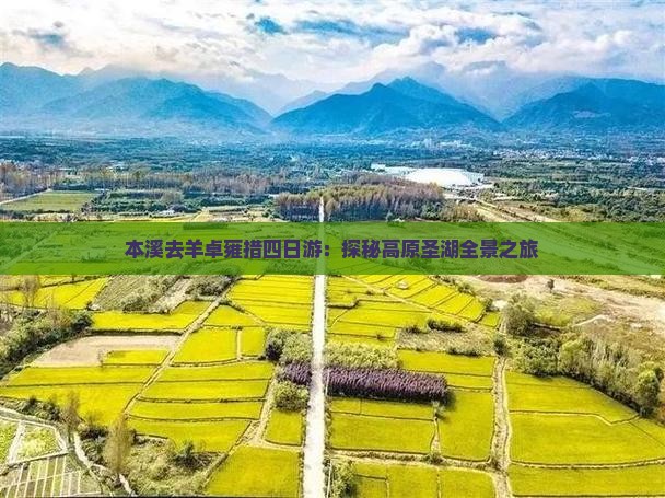 本溪去羊卓雍措四日游：探秘高原圣湖全景之旅