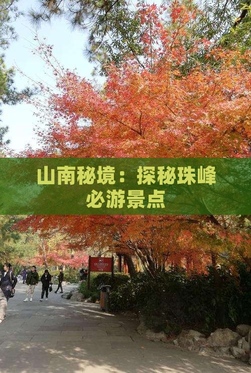 山南秘境：探秘珠峰必游景点