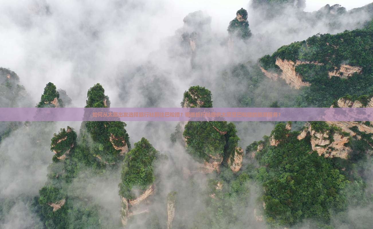 如何从太原出发选择旅行社前往巴松措？哪些旅行社提供太原至巴松措的旅游服务？