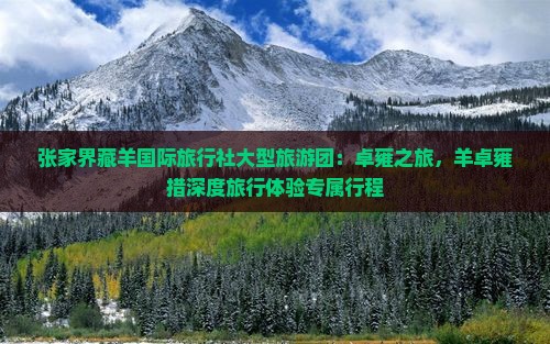 张家界藏羊国际旅行社大型旅游团：卓雍之旅，羊卓雍措深度旅行体验专属行程