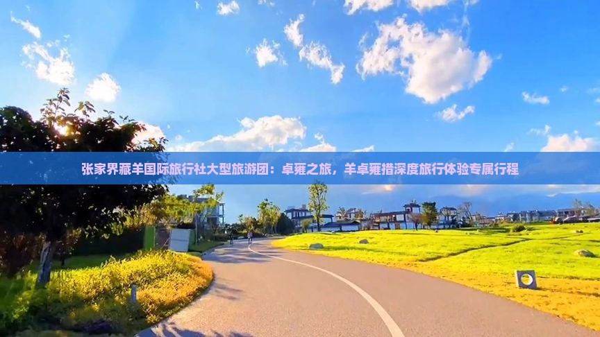 张家界藏羊国际旅行社大型旅游团：卓雍之旅，羊卓雍措深度旅行体验专属行程