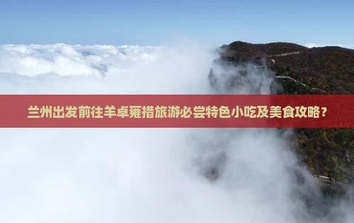 兰州出发前往羊卓雍措旅游必尝特色小吃及美食攻略？