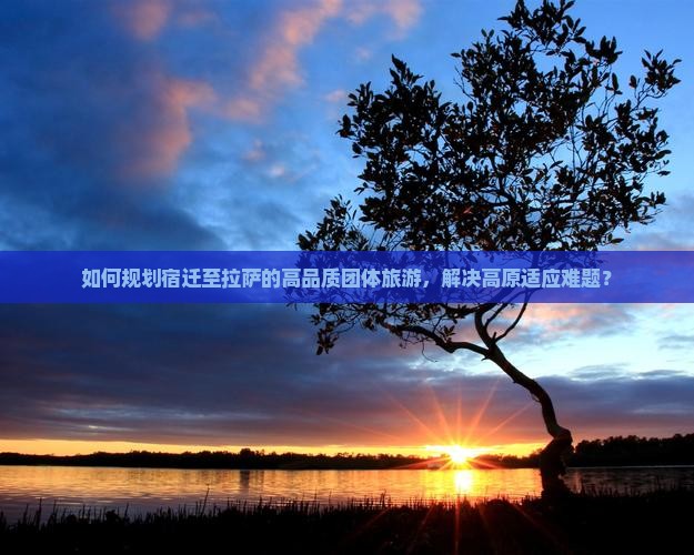 如何规划宿迁至拉萨的高品质团体旅游，解决高原适应难题？