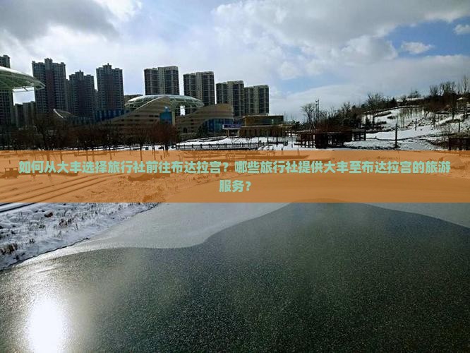 如何从大丰选择旅行社前往布达拉宫？哪些旅行社提供大丰至布达拉宫的旅游服务？