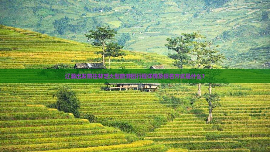 辽源出发前往林芝大型旅游团行程详情及报名方式是什么？