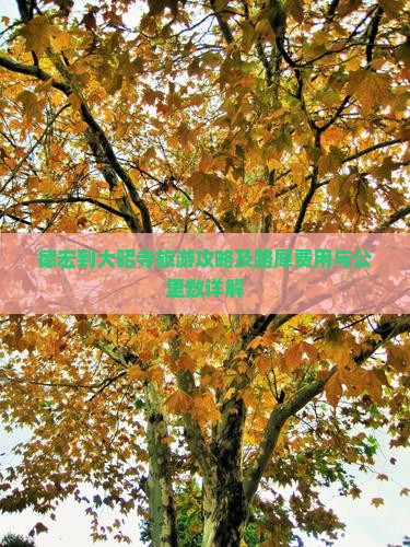 德宏到大昭寺旅游攻略及路犀费用与公里数详解
