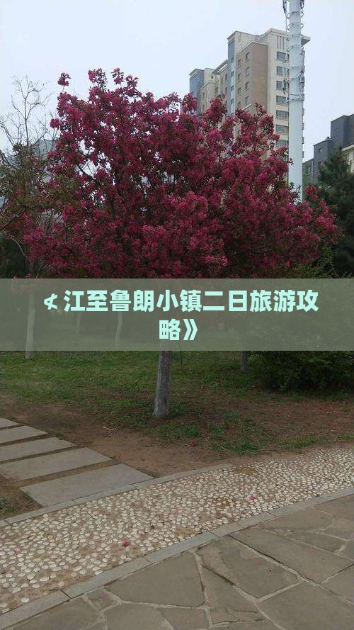 ≮江至鲁朗小镇二日旅游攻略》