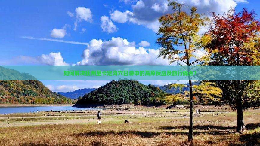 如何解决抚州至卡定沟六日游中的高原反应及旅行痛点？