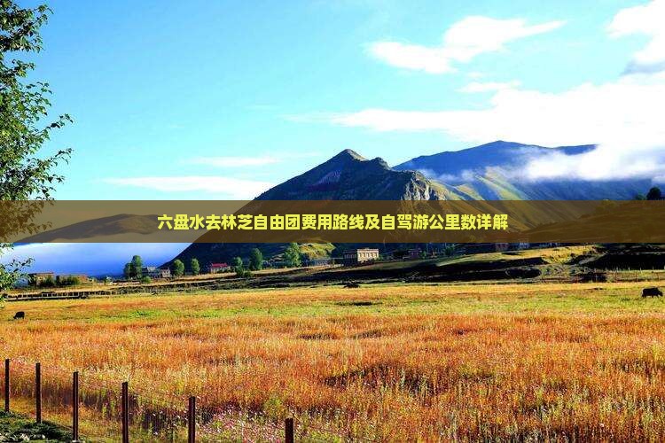 六盘水去林芝自由团费用路线及自驾游公里数详解